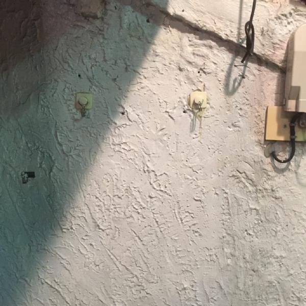 なんであのときcafeレポート 2016年5月1日～5月7日