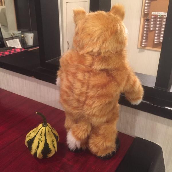 なんであのときcafeレポート 2016年10月2日～10月8日