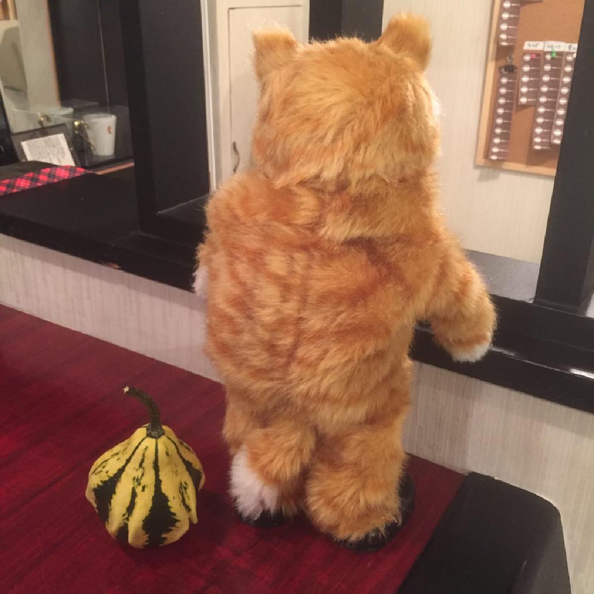 なんであのときcafeレポート 2016年10月2日～10月8日