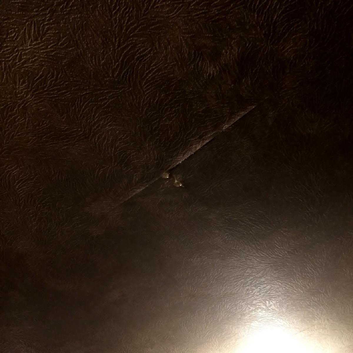 なんであのときcafeレポート 2017年1月15日~1月21日