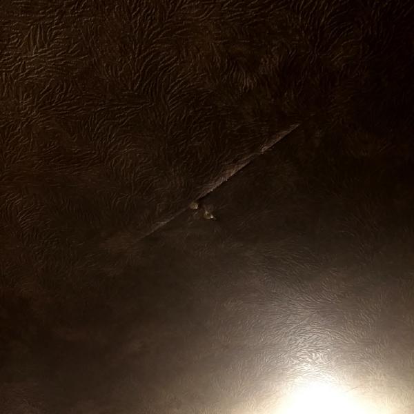 なんであのときcafeレポート 2017年1月15日～1月21日