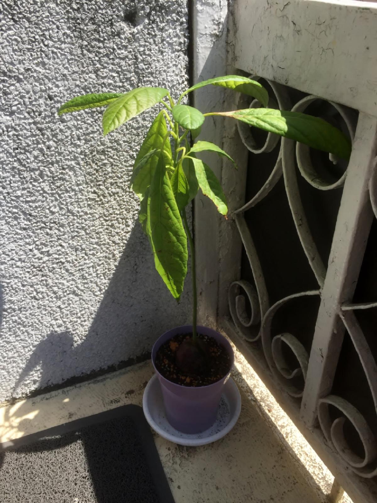 なんであのときcafeレポート 2017年4月9日~4月15日