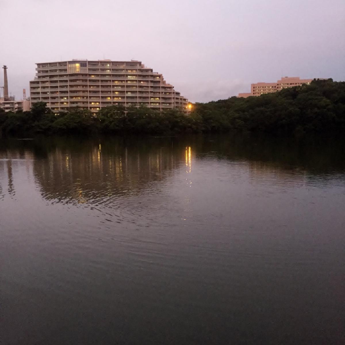 なんであのときcafeレポート 2017年7月23日~7月29日